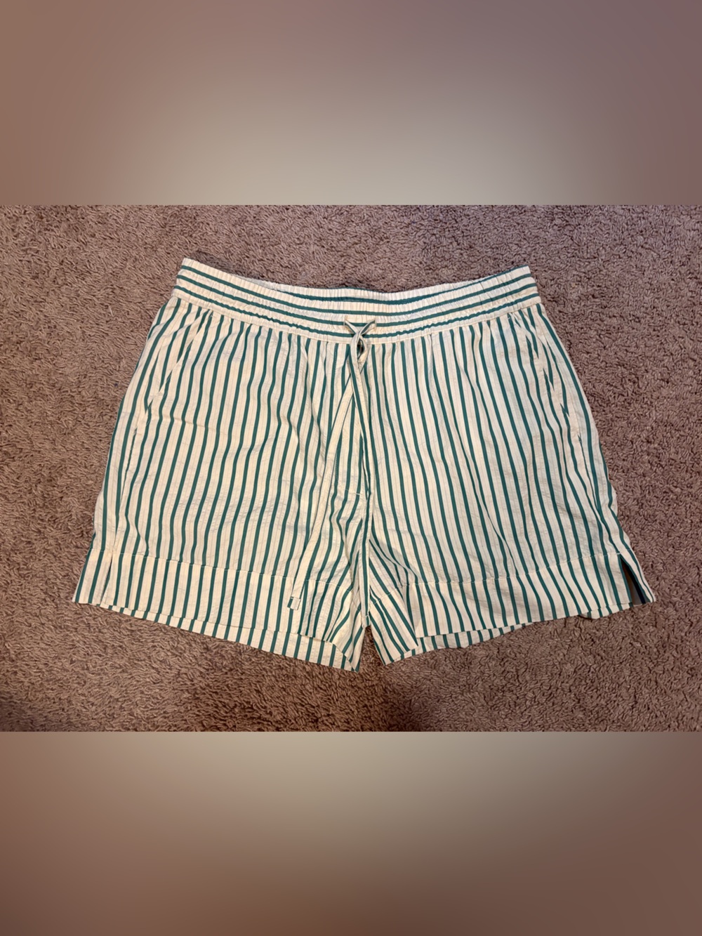 Banana Republic Teal and White High-Waist Striped Shorts